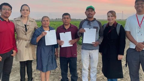 Equipo de negociación del histórico contrato del UFW con la compañía Ho Sai Farms, Inc.