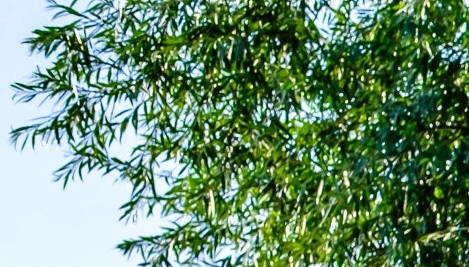 Casas prefabricadas en Estados Unidos tienen un valor de hasta $30,000 dólares.