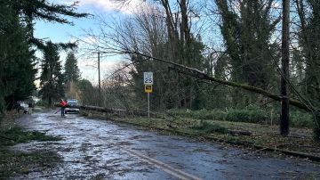 Las alertas están vigentes hasta el viernes por inundaciones, nieve, avalanchas y vientos fuertes.