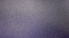 Costco ahora vende cobertizos smart: tienen electricidad y mucho más