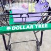 Beware of the dollar tree