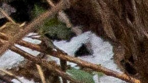 Avión de carga de DHL se estrella contra una casa cerca del aeropuerto de Lituania y muere una persona