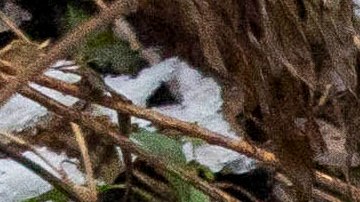 Avión de carga de DHL se estrella contra una casa cerca del aeropuerto de Lituania y muere una persona