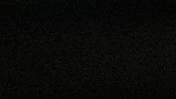 DeSantis pide convocar "de inmediato" elecciones especiales para suplir a congresistas llamados por Trump