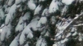 Se espera nieve y lluvia durante la semana de Acción de Gracias.