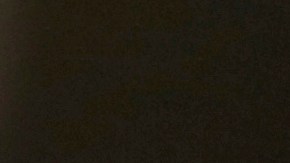 Revelaciones sobre el caso de Sean ‘Diddy’ Combs: Testigo dice tener diario de Kim Porter