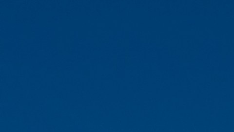 Los 5 productos que todo revendedor debe comprar en Dollar Tree