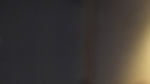 Donald Trump, presidente electo