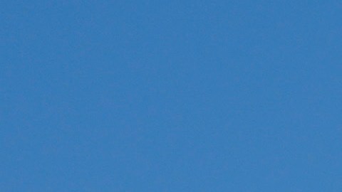 ONG advierte que política migratoria de Trump provocará aumento en ola migrante en frontera