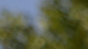 Actor James Olmos, left, poses with a Los Angeles Dodgers fan after a public funeral mass for former Los Angeles Dodger pitcher Fernando Valenzuela at the Cathedral of Our Lady of the Angels in Los Angeles on Wednesday, Nov. 6, 2024. (AP Photo/Damian Dovarganes)