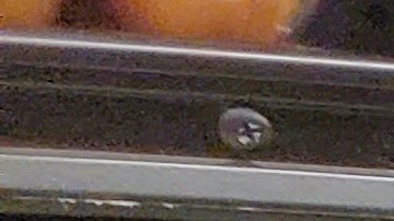 El precio de los huevos en EE.UU. aumenta ante de las fiestas decembrina: esta es la razón