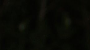 Elizabeth Gutiérrez