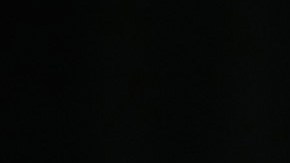 Elon Musk, visionario empresario