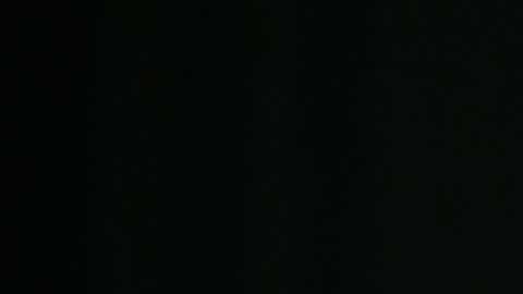 Elon Musk, visionario empresario