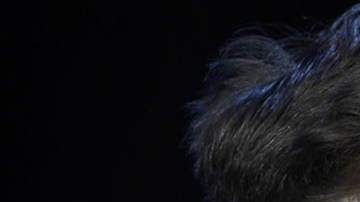 Elon Musk, visionario empresario