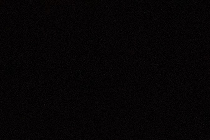 Desde el Partido Demócrata afirman que la llegada de Musk al gobierno podría representar un conflicto de intereses