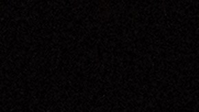 Desde el Partido Demócrata afirman que la llegada de Musk al gobierno podría representar un conflicto de intereses