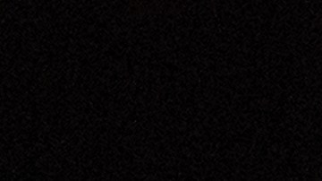 Desde el Partido Demócrata afirman que la llegada de Musk al gobierno podría representar un conflicto de intereses