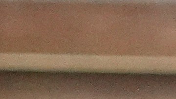 Elon Musk y Donald Trump