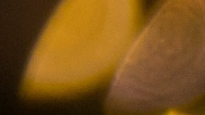 El Feng Shui se puede aplicar en la Navidad, una de las tradiciones más occidentales.