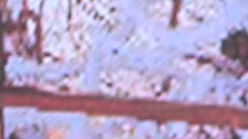 Francisca Cazzu Christian Nodal Ángela Aguilar