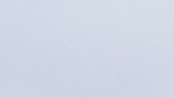 Bajo la administración de Biden, más de 529,000 niños migrantes han ingresado a Estados Unidos