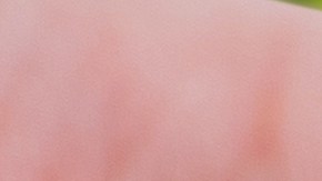 Ganar lotería al comprar verduras