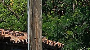 Trasladan al capo mexicano Rafael Caro Quintero desde la cárcel para cirugía "programada"