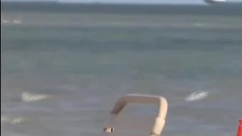 Hallazgo de cabeza en Key Biscayne
