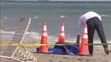 Hallazgo de cabeza en Key Biscayne