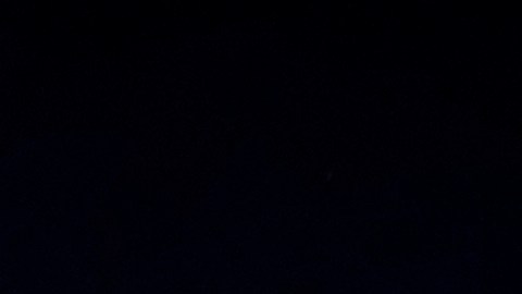 Harris continúa dando un mensaje de unidad y optimismo en los últimos eventos de su campaña.