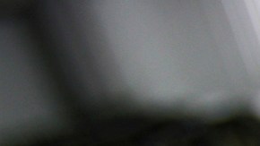 FILE - In this Aug. 3, 2007, file photo, psilocybin mushrooms are seen in a grow room at the Procare farm in Hazerswoude, central Netherlands. Oregon's attorney general has approved language for a ballot measure to make psychedelic mushrooms legal. (AP Photo/Peter Dejong, File)