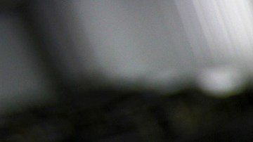 FILE - In this Aug. 3, 2007, file photo, psilocybin mushrooms are seen in a grow room at the Procare farm in Hazerswoude, central Netherlands. Oregon's attorney general has approved language for a ballot measure to make psychedelic mushrooms legal. (AP Photo/Peter Dejong, File)