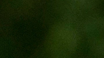 Biden no planea indultar a su hijo Hunter Biden, informó la Casa Blanca