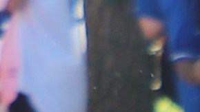 Los aficionados enloquecieron al ver a los campeones.