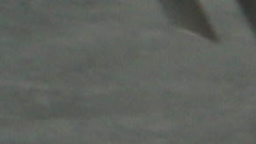 Manifestantes pelean por los derechos de los trabajadores inmigrantes y el fin a la guerra de Israel en Pelestina.