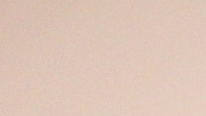 Miembros de la delegación californiana en México / Cortesía Tzunu