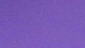 Mariano Domínguez director ejecutivo de la exhibición “El Milagro de la Guadalupana: La Experiencia”.