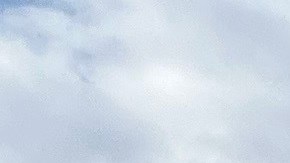 Cámara de Representantes.