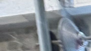 El enólogo Rob Folin de Ryan Rose explica el proceso del vino.