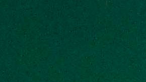 Nicolás Larcamón, director técnico del Club León durante el partido de la jornada 11 del torneo Apertura 2023 de la Liga MX ante los Rojinegros del Atlas celebrado en el estadio León.