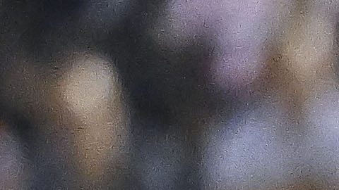 Ciudad de México a 14 de septiembre de 2024. Fernando González y Rodrigo Aguirre durante el partido correspondiente a la jornada 7 del torneo Apertura 2024 de la Liga BBVA MX, entre las Águilas del América y las Chivas Rayadas del Guadalajara, realizado en el estadio Ciudad de los Deportes. Foto: Imago7/ Etzel Espinosa