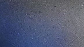 Las Chivas ya habrían recibido una oferta por Erick Gutiérrez.