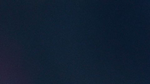 Demichelis ha dirigido 10 partidos en la Liga MX.