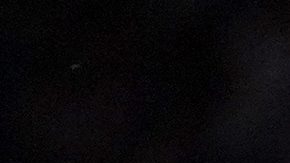 Cade Cowell tiene 10 goles en el Rebaño Sagrado.