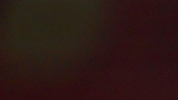 Veljko Paunović, director técnico de los Tigres de la UANL, durante el partido correspondiente a la jornada 17 del torneo Apertura 2024 de la Liga MX ante la Máquina Cementera del Cruz Azul.