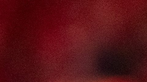 Juan Carlos Osorio tiene 10 victorias en 20 partidos al mando de Tijuana.