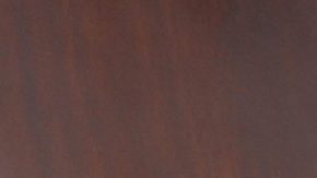 Toluca, Estado de Mxico, 3 de febrero de 2015. Valentin Diez, propietario del equipo Toluca, durante la presentación de la remodelación del estadio Nemesio Diez, Foto: Imago7/Cortesia Club Toluca