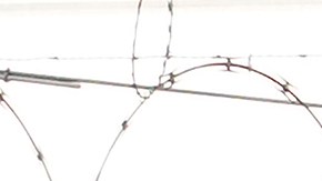 FILE - A man stands near tents on a sidewalk in San Francisco, Nov. 21, 2020. A one-night count found San Francisco's homeless population dipped slightly to roughly 7,800 people in 2022. The last point-in-time count found more than 8,000 residents in 2019 in a city where unhoused people are highly visible. (AP Photo/Jeff Chiu, File)