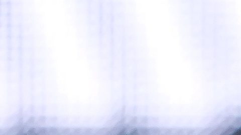 Jake Paul